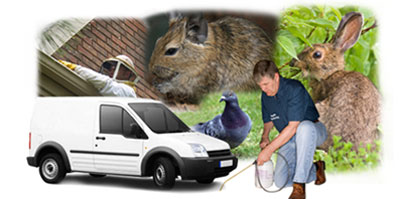 Kidlington local van